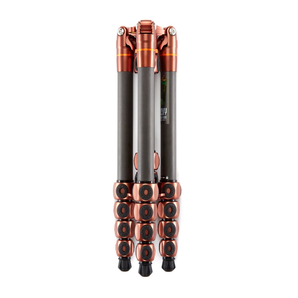 Bicycle shock absorbers with copper accents on a white background