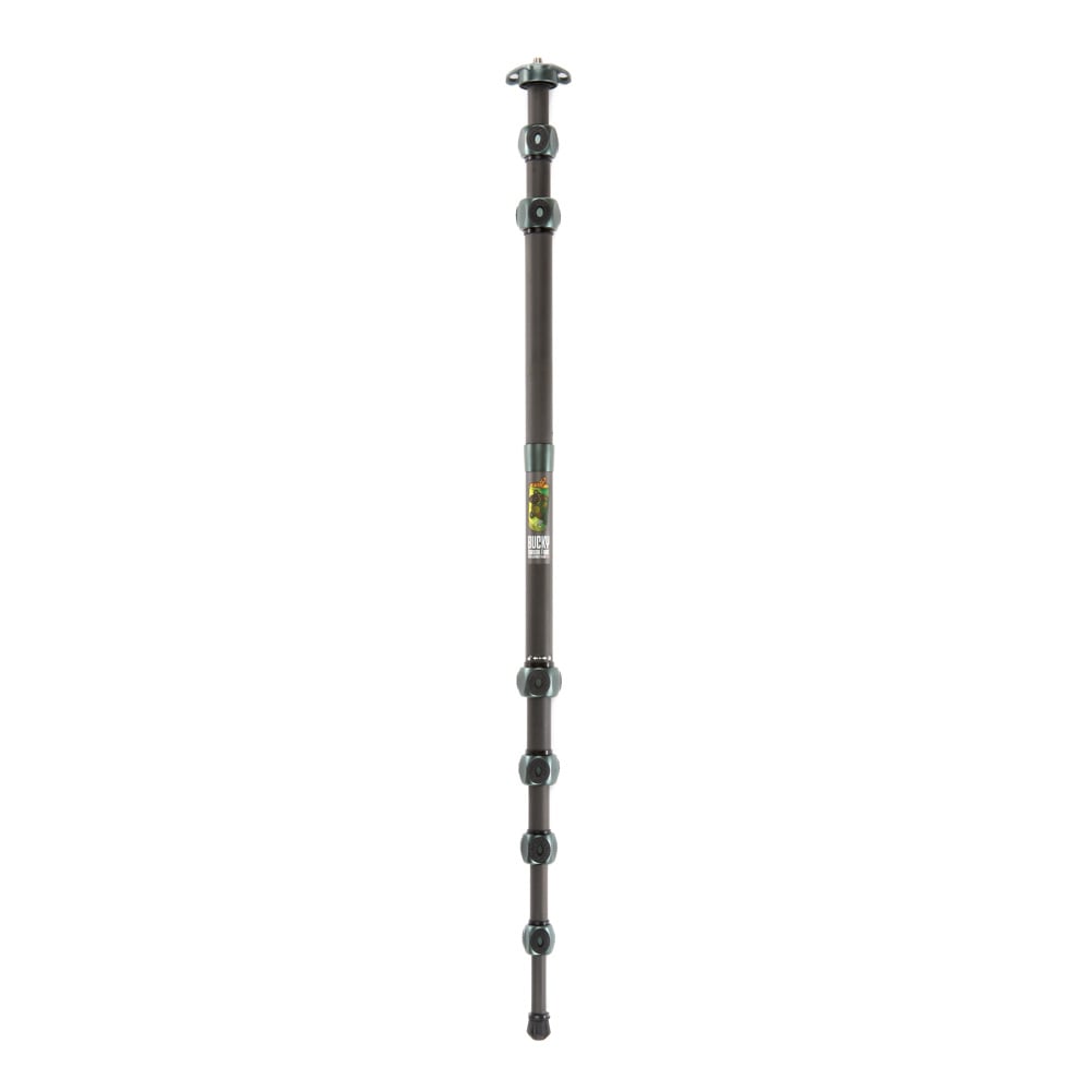 Black adjustable walking stick on a white background