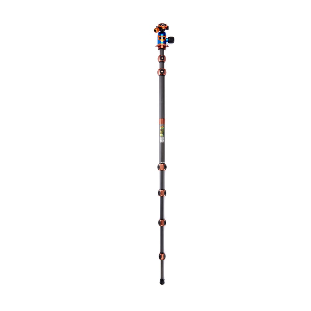 Black and orange hiking pole on a white background