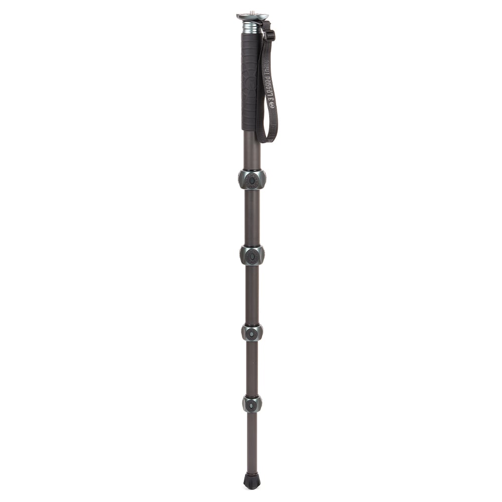 3 Legged Thing Legends Alana Carbon Fibre Monopod in Grey – ultra-light, durable and ideal for dynamic shooting situations.