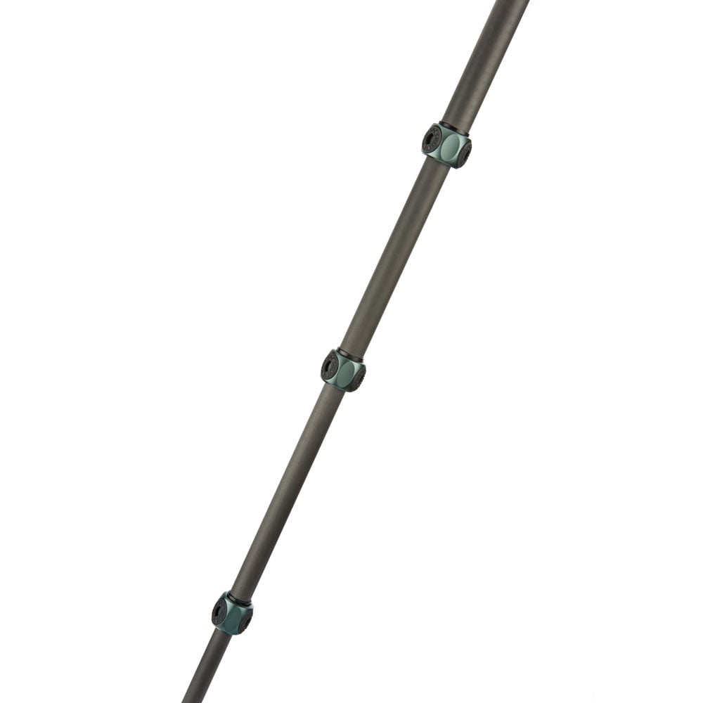 Single hiking stick on a white background
