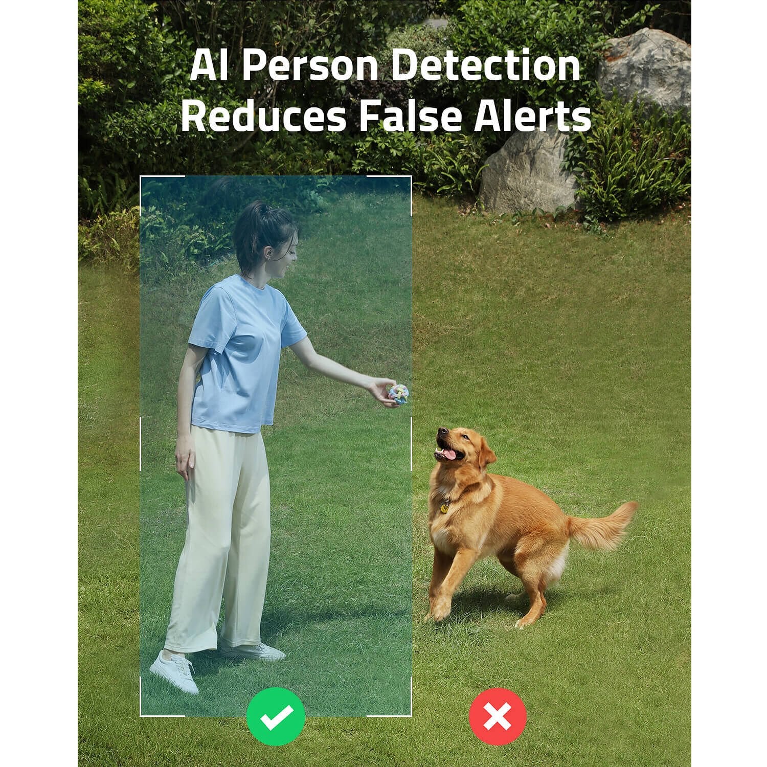 Person and dog in a grassy area with text about AI person detection reducing false alerts.
