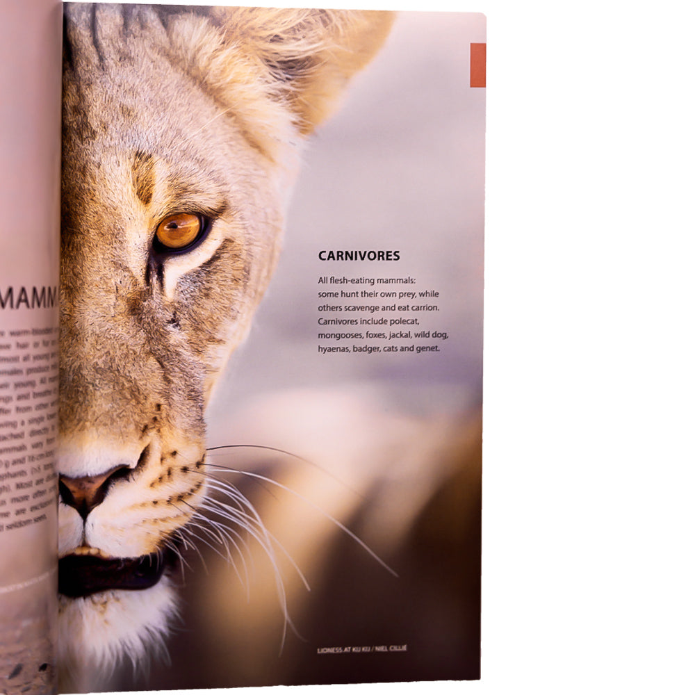 An essential companion to enrich your visit to the Kgalagadi Transfrontier Park, this book is the most comprehensive guide to the Animals of the Kgalagadi.