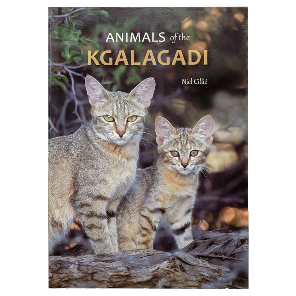 An essential companion to enrich your visit to the Kgalagadi Transfrontier Park, this book is the most comprehensive guide to the Animals of the Kgalagadi.