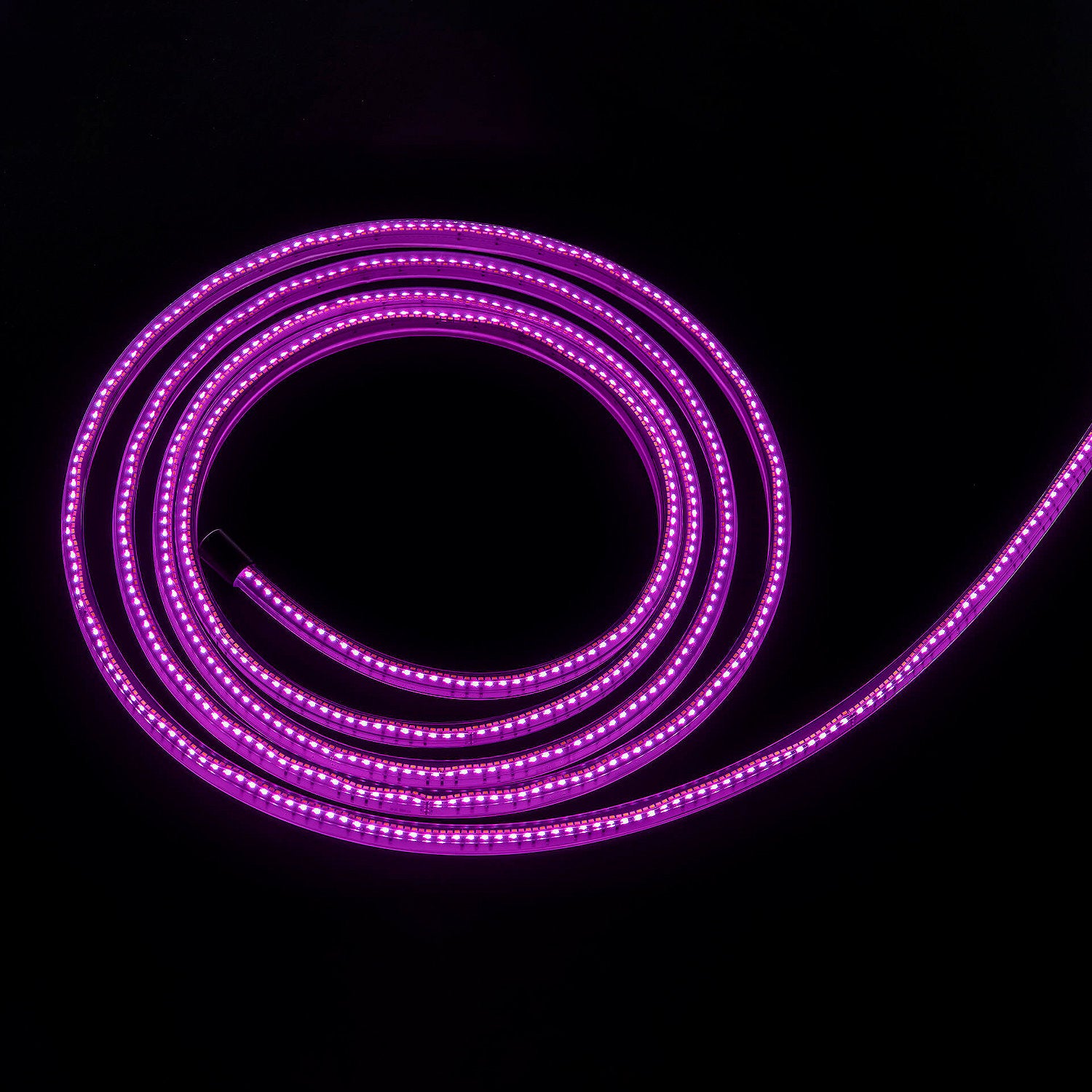 Pink LED strip light on a black background