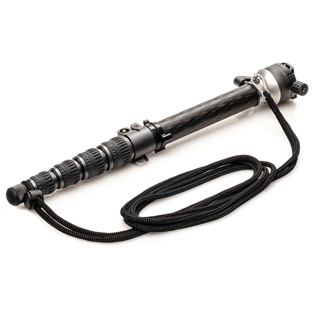 Benro SupaDupa carbon‑fiber monopod with twist‑lock sections and built‑in pan‑tilt head, rubber or spiked rotating foot