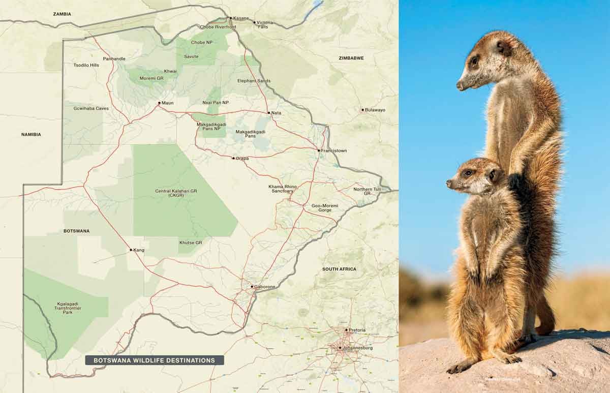 This book is the perfect resource for the hassle-free exploration of Botswana. It features comprehensive details, new maps, and inspirational imagery.