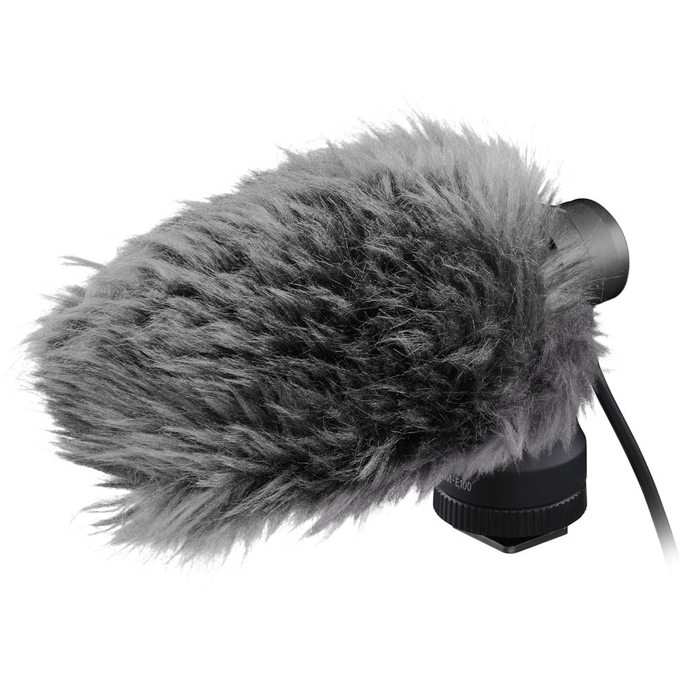 Add crystal clear stereo sound with low noise to your movies with the high-quality DM-E100 microphone that plugs directly into compatible Canon cameras.