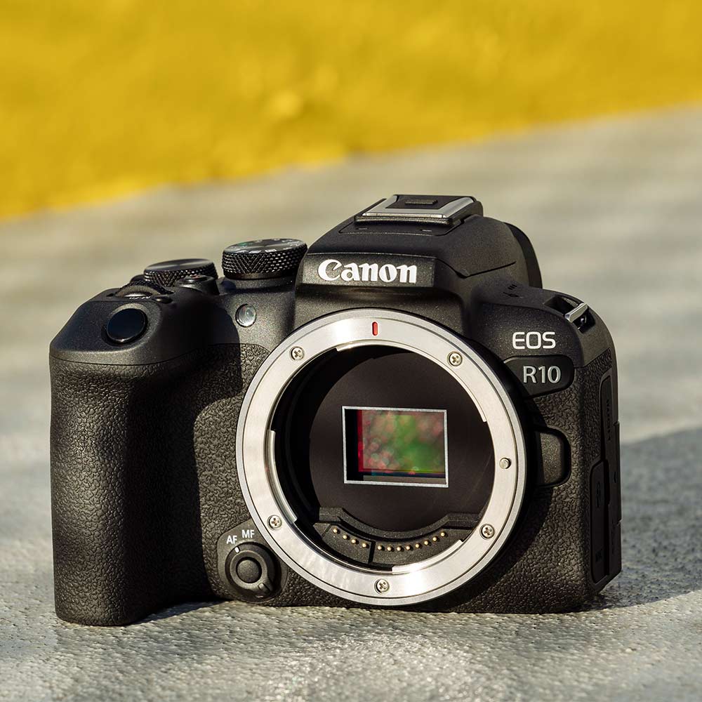 Take the Canon EOS R10 along on your trip. Captures quality 24.2 MP images and 4K video. Its versatility will speak for itself. Compatible with RF lenses.