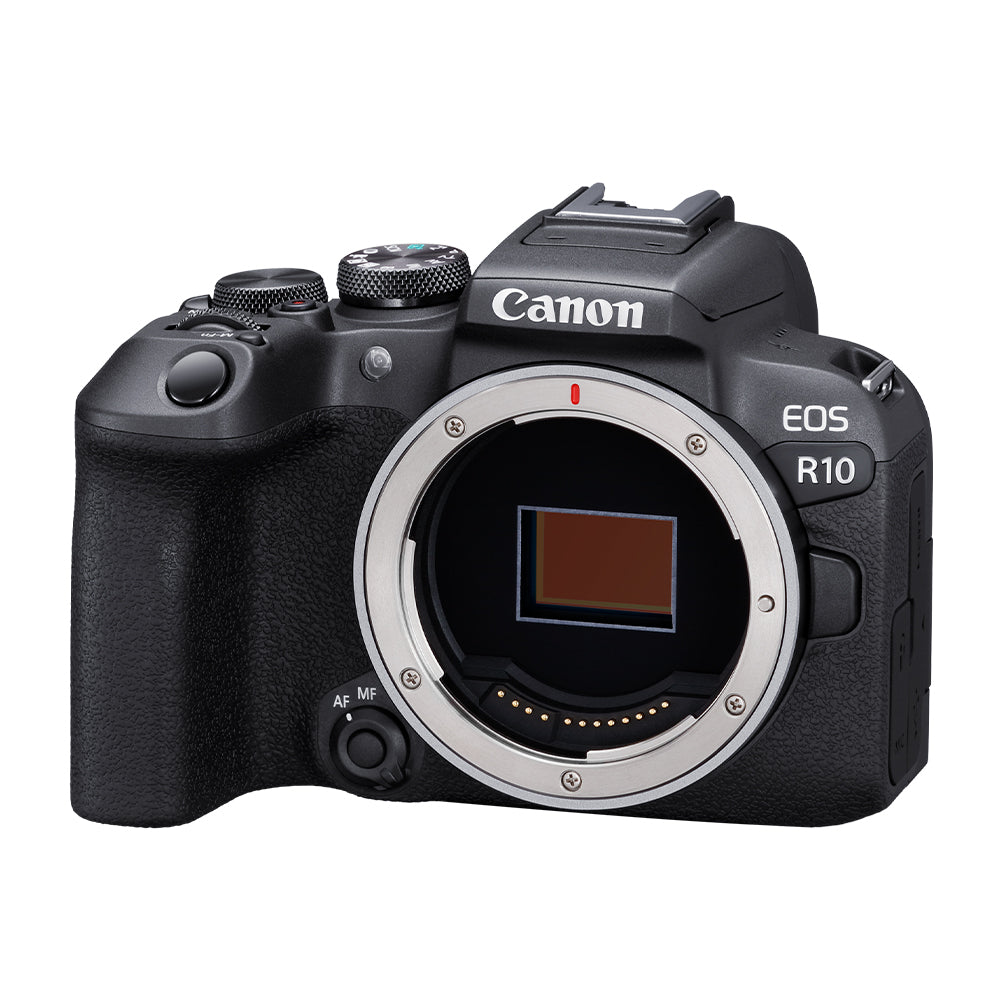 Take the Canon EOS R10 along on your trip. Captures quality 24.2 MP images and 4K video. Its versatility will speak for itself. Compatible with RF lenses.