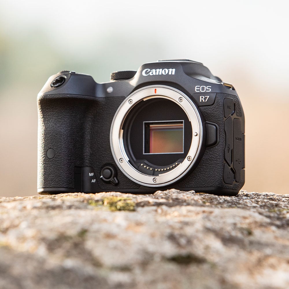 Canon EOS R7 Mirrorless Camera: 32.5MP APS-C sensor, DIGIC X processor, Dual Pixel CMOS AF II, 4K 60p video (7K oversampled), 30fps burst, 7-stop IBIS, AF tracking for humans and animals, supports EF/EF-S lenses with adapter.