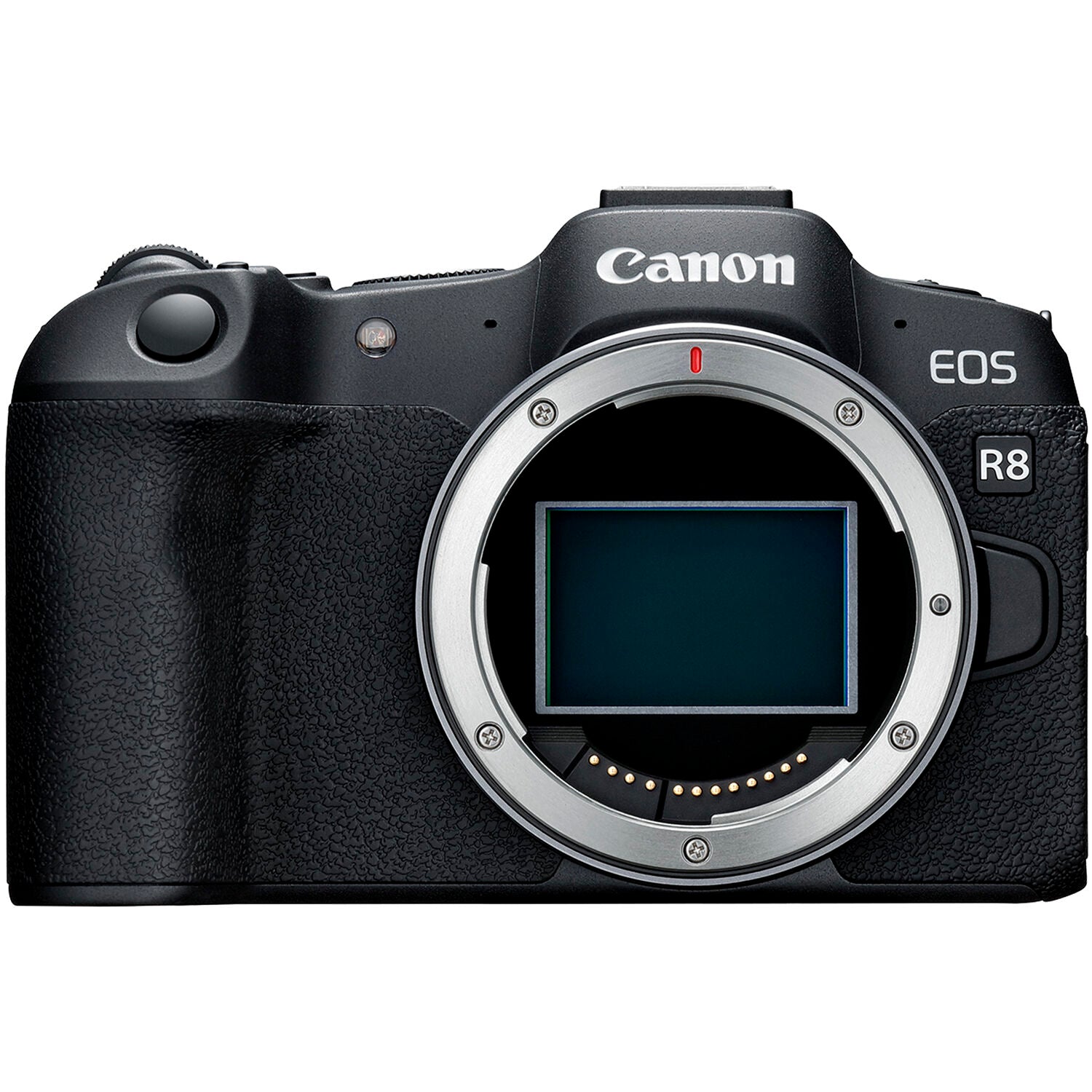 Canon EOS R8 full-frame mirrorless camera with 24MP and 4K60 video.