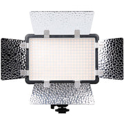 Godox LED 308C Video Light with Battery Pack & Charger