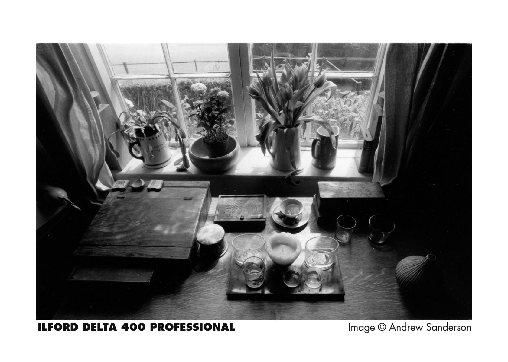 Black and white photo of a window sill with various items including plants and a cutting board.