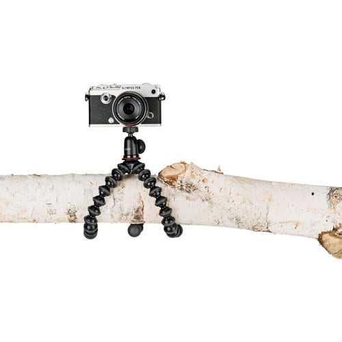 Camera mounted on a flexible tripod on a branch with a white background