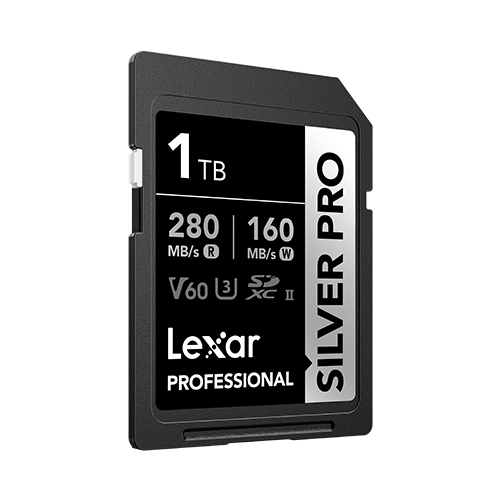 Lexar Professional Silver Pro 1TB SD card on a white background