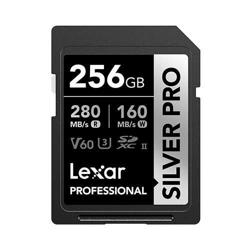 Lexar Professional Silver Pro 256GB SD card on a white background