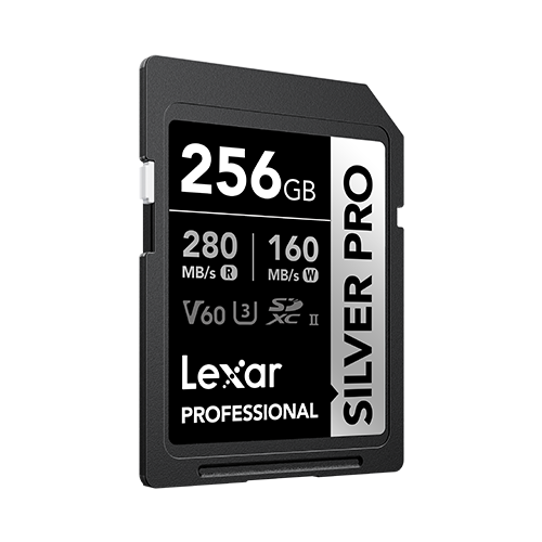 Lexar Silver Pro 256GB SD card on a white background