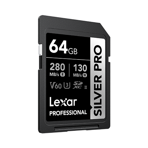 Lexar Professional Silver Pro 64GB SD card on a white background