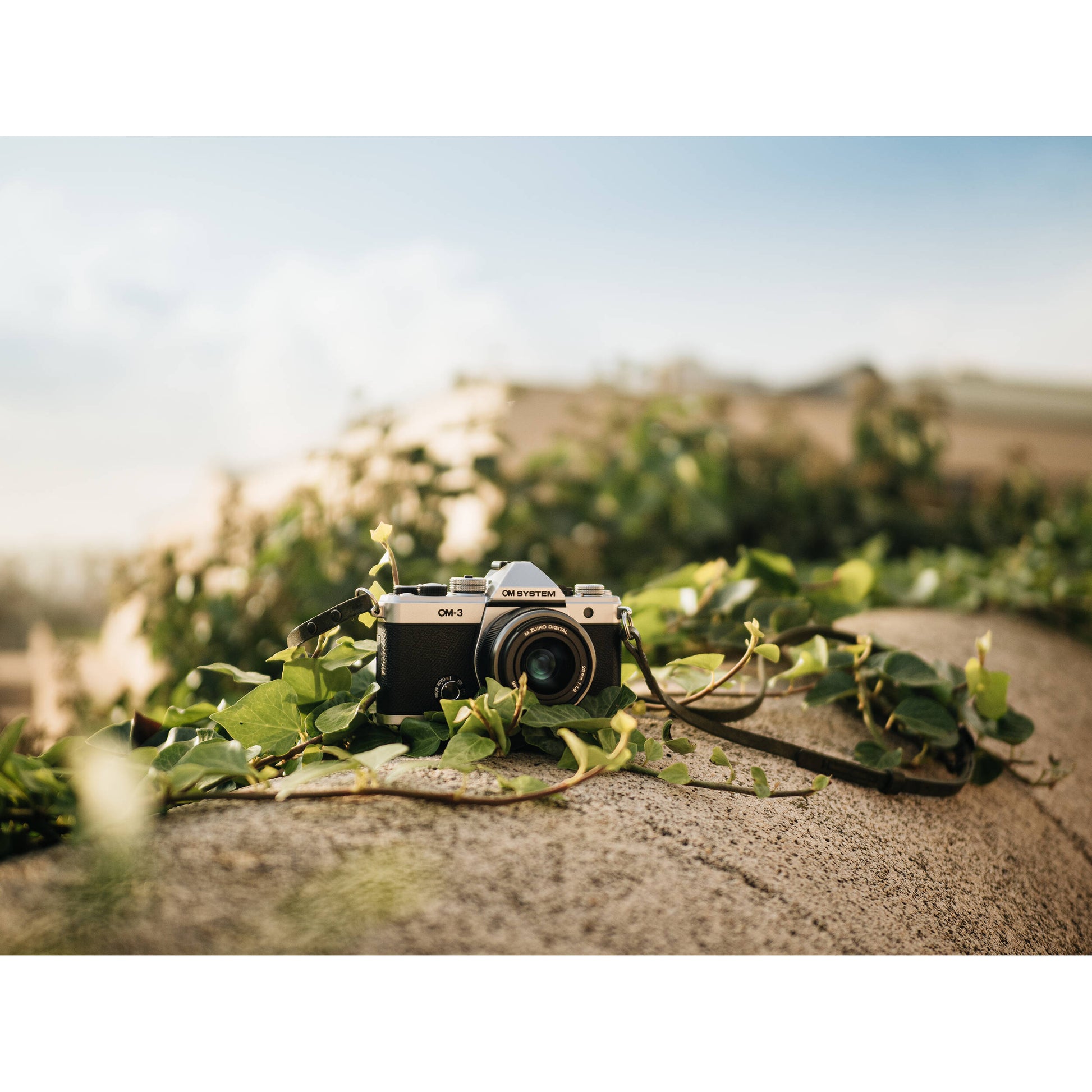 OM System OM-3 mirrorless camera with 20MP stacked BSI Live MOS sensor, TruePic X processor, 1053-point Quad Pixel AF covering 100% frame, up to 50 fps continuous AF burst, 4K 60p video, IP53 weather sealing, and 3-inch vari-angle touchscreen.