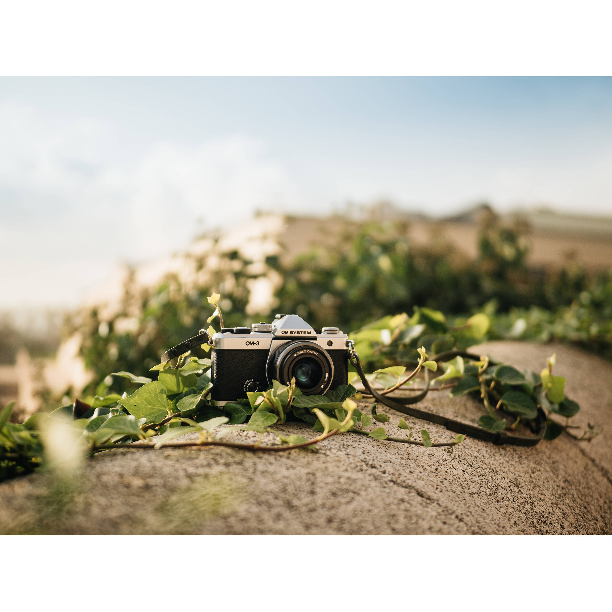 OM System OM-3 mirrorless camera with 20MP stacked BSI Live MOS sensor, TruePic X processor, 1053-point Quad Pixel AF covering 100% frame, up to 50 fps continuous AF burst, 4K 60p video, IP53 weather sealing, and 3-inch vari-angle touchscreen.