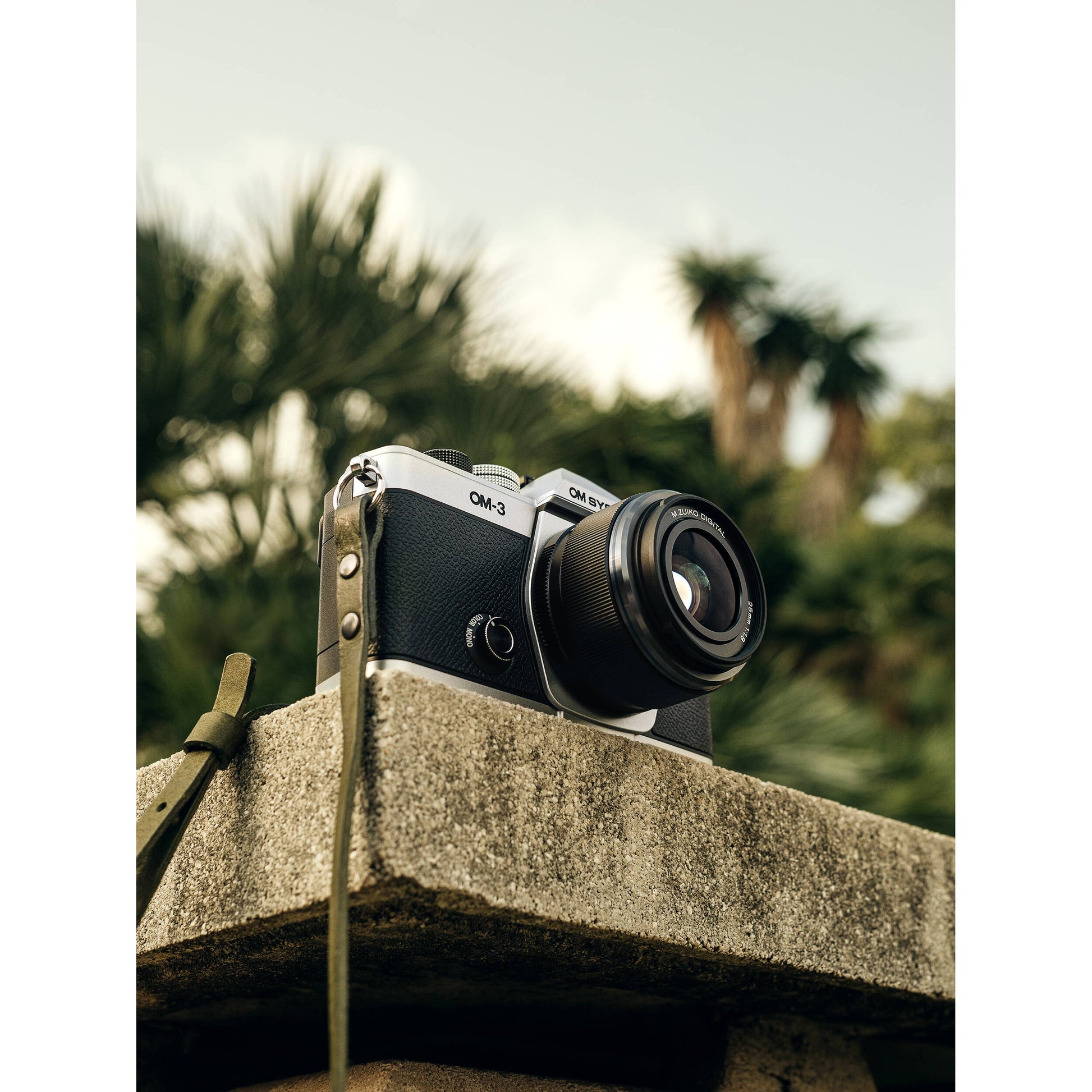 OM System OM-3 mirrorless camera with 20MP stacked BSI Live MOS sensor, TruePic X processor, 1053-point Quad Pixel AF covering 100% frame, up to 50 fps continuous AF burst, 4K 60p video, IP53 weather sealing, and 3-inch vari-angle touchscreen.