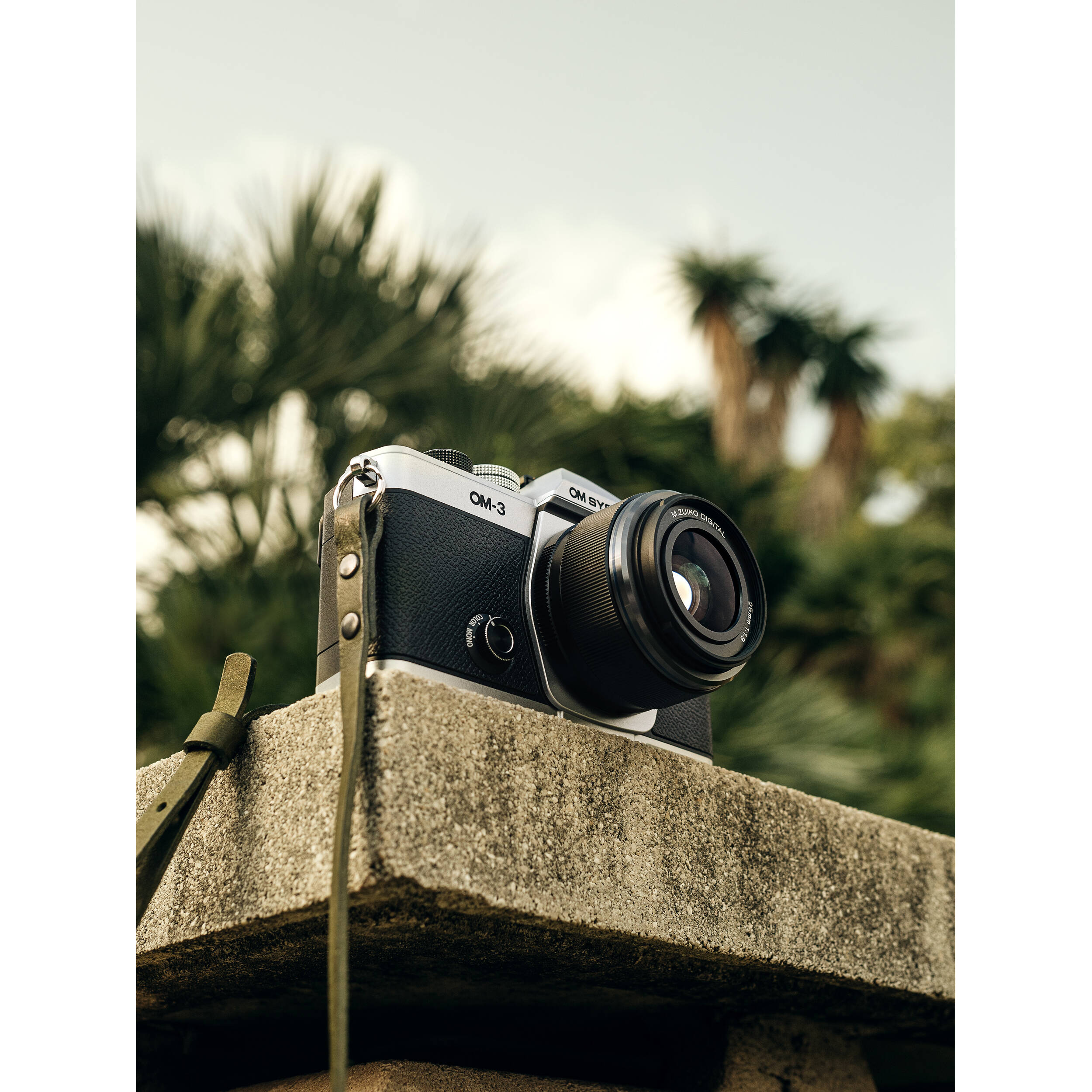 OM System OM-3 mirrorless camera with 20MP stacked BSI Live MOS sensor, TruePic X processor, 1053-point Quad Pixel AF covering 100% frame, up to 50 fps continuous AF burst, 4K 60p video, IP53 weather sealing, and 3-inch vari-angle touchscreen.