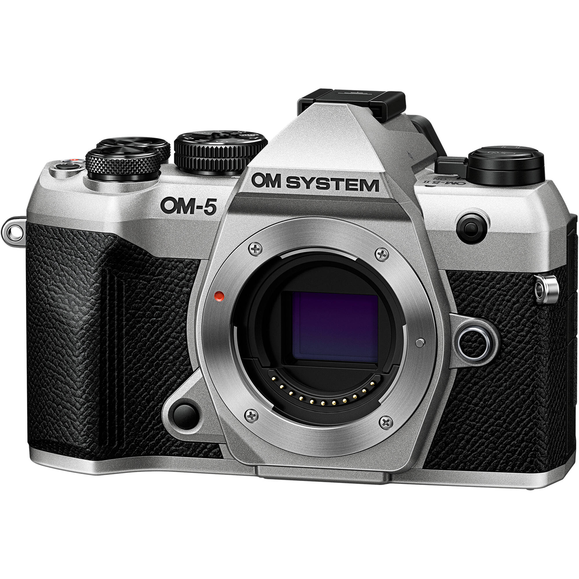 OM-5 Mark II camera with 5-axis stabilisation for sharp handheld shots.