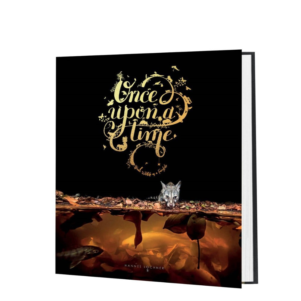 once-upon-a-time-by-hannes-lochner