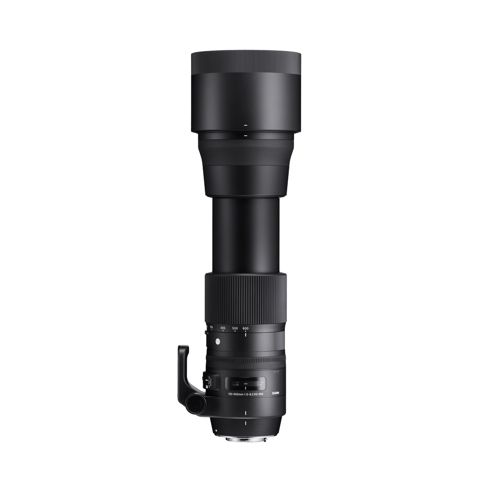Black camera lens on a white background