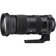 Sigma 60-600mm f/4.5-6.3 DG OS HSM Sports Lens for Nikon F. A versatile 10x zoom with OS stabilisation, pro build, and sharp optics for wildlife, sports, and outdoor photography.