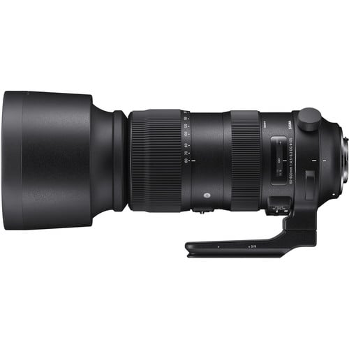 Sigma 60-600mm f/4.5-6.3 DG OS HSM Sports Lens for Nikon F. A versatile 10x zoom with OS stabilisation, pro build, and sharp optics for wildlife, sports, and outdoor photography.