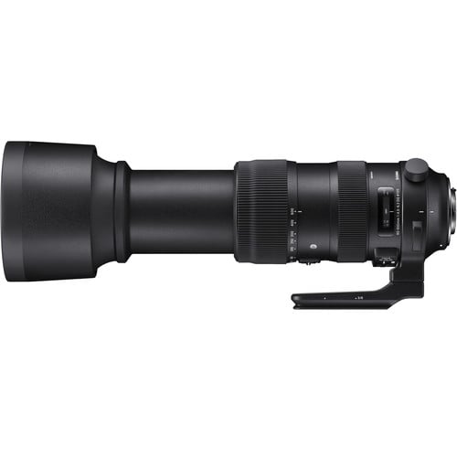 Sigma 60-600mm f/4.5-6.3 DG OS HSM Sports Lens for Nikon F. A versatile 10x zoom with OS stabilisation, pro build, and sharp optics for wildlife, sports, and outdoor photography.
