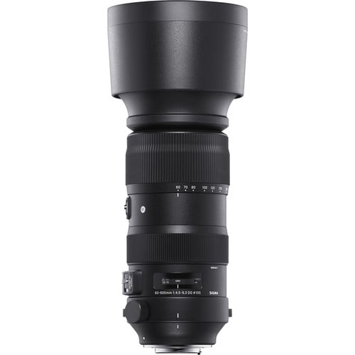 Sigma 60-600mm f/4.5-6.3 DG OS HSM Sports Lens for Nikon F. A versatile 10x zoom with OS stabilisation, pro build, and sharp optics for wildlife, sports, and outdoor photography.