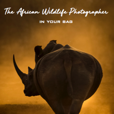 The African Wildlife Photographer in Your Bag by Andrew Aveley