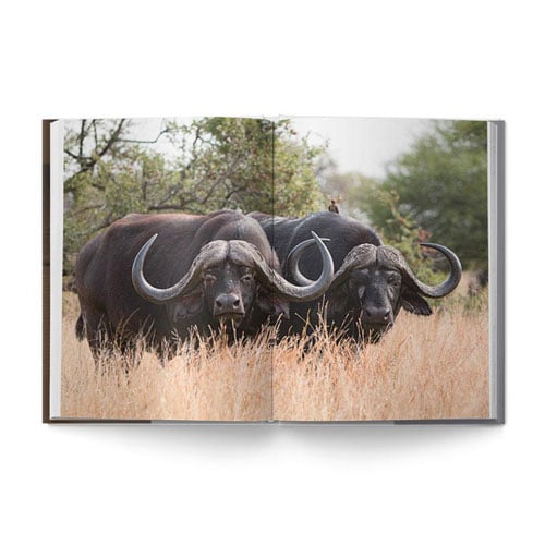 The Big Seven: Adventures in Search of Africa‘s Iconic Species by Gerald Hinde & Will Taylor