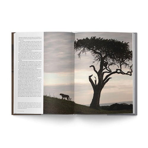 The Big Seven: Adventures in Search of Africa‘s Iconic Species by Gerald Hinde & Will Taylor