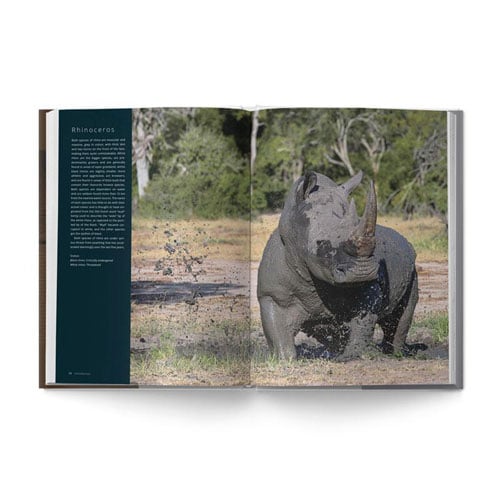 The Big Seven: Adventures in Search of Africa‘s Iconic Species by Gerald Hinde & Will Taylor
