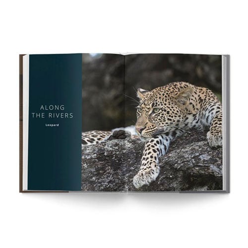 The Big Seven: Adventures in Search of Africa‘s Iconic Species by Gerald Hinde & Will Taylor