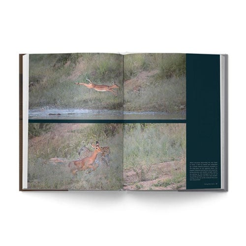The Big Seven: Adventures in Search of Africa‘s Iconic Species by Gerald Hinde & Will Taylor