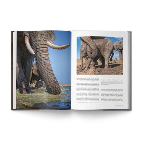 The Big Seven: Adventures in Search of Africa‘s Iconic Species by Gerald Hinde & Will Taylor