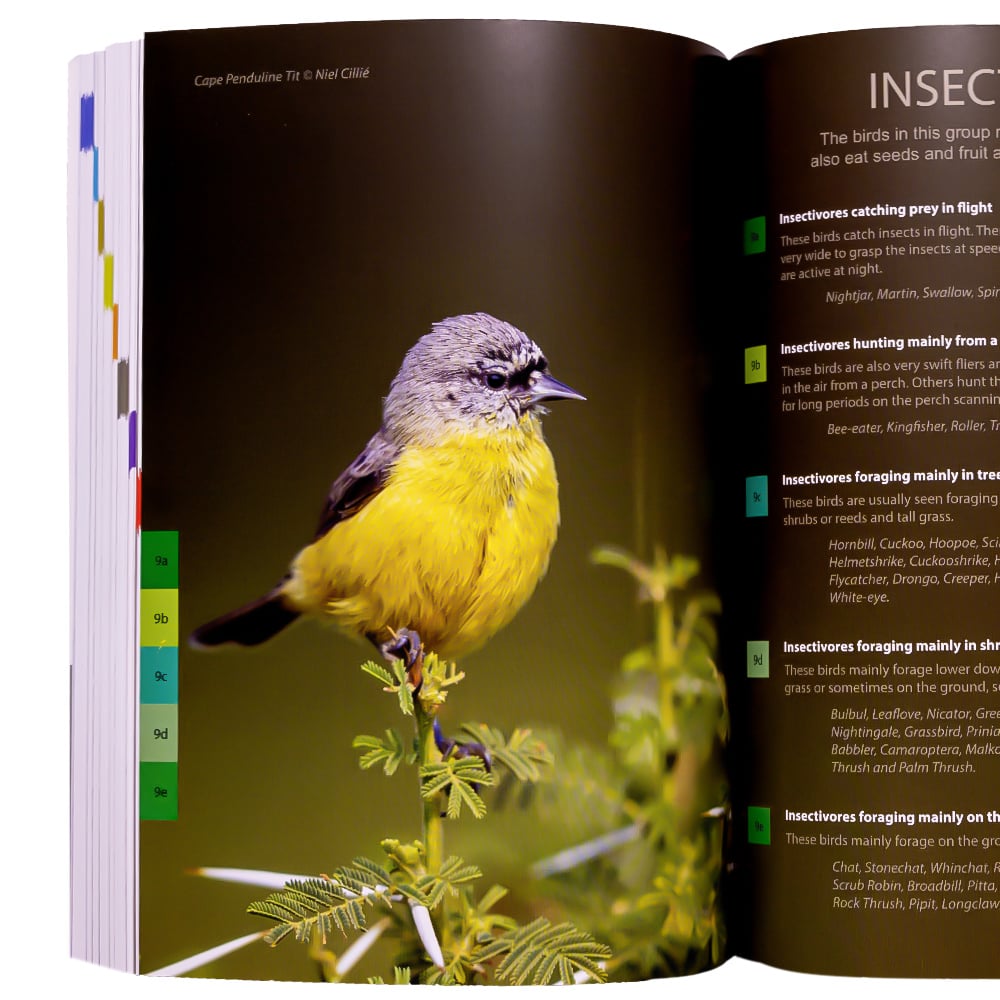 VELD Birds of Southern Africa: The complete photographic guide