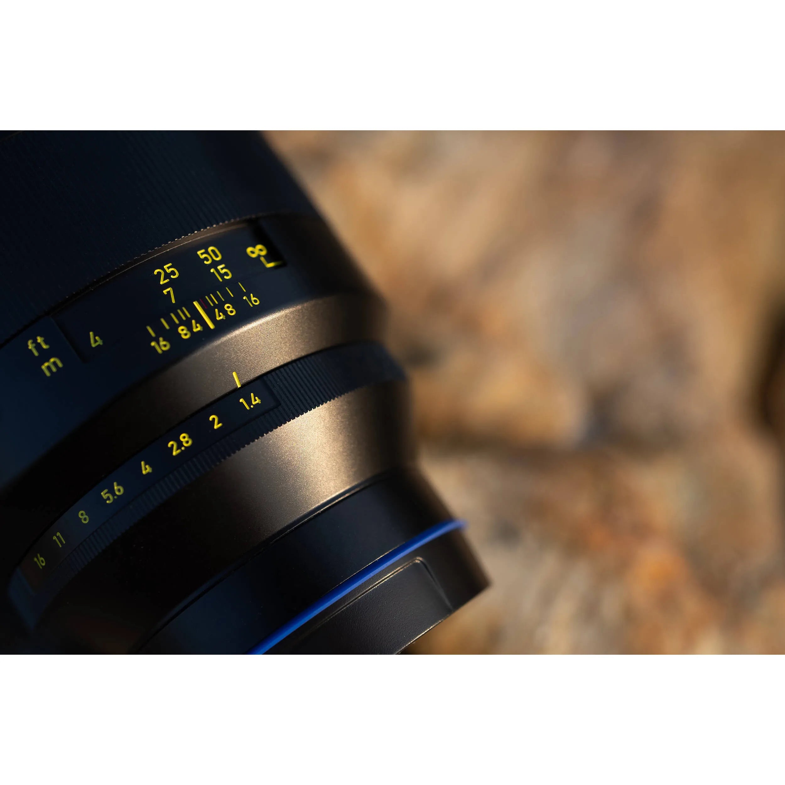 Zeiss Otus ML 85mm f/1.4 for Nikon Z. Premium portrait lens with f/1.4 aperture, superb sharpness, smooth bokeh, and solid all-metal construction.